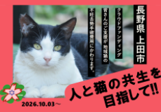 人と猫の共生を目指して！飼い主のいない猫を適切に管理し、不幸な命をなくしたい！