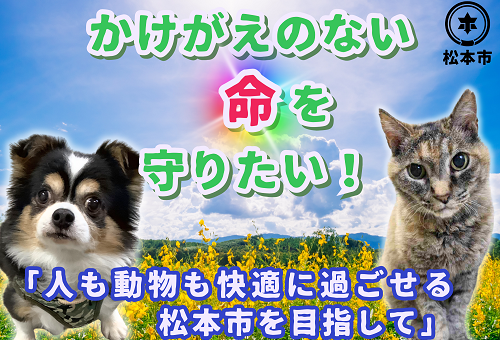 main_img