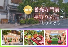 りんごの搾りかすを、バッグや紙へ。信州りんごにスポットをあてたい！