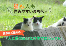 猫も人も住みやすいまちへ。西予市で始める「人と猫の幸せな共生プロジェクト」