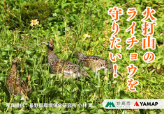 「火打山のライチョウを未来へ」絶滅危惧種「ライチョウ」の生息地保全活動