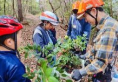 神戸市の自然を未来へ　～子どもたちに豊かな里山の自然を体験してほしい！～