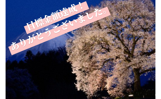 【受付終了】わに塚のサクラを救いたい！歴史を紡ぐ樹齢330年