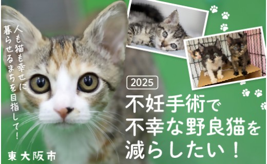 2025】不妊手術で不幸な野良猫を減らしたい！～ 人も猫も幸せに