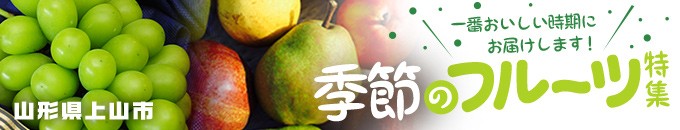 山形県上山市特集