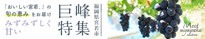 福岡県宮若市特集
