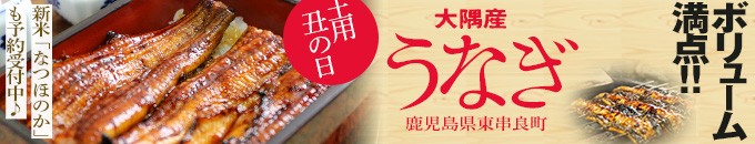 鹿児島県東串良町特集