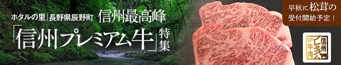 長野県辰野町特集