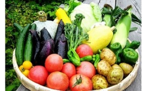 いい旅かたしな おもてなし宿泊チケット １冊 群馬県片品村 ふるさと納税 ふるさとチョイス