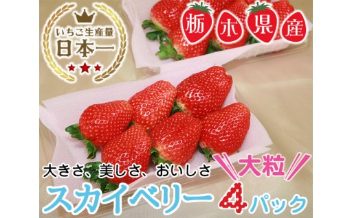 【数量限定】大粒いちご スカイベリーのご紹介♪