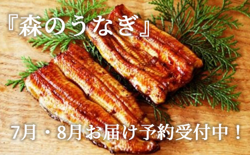 『森のうなぎ』7月・8月お届け予約受付中！