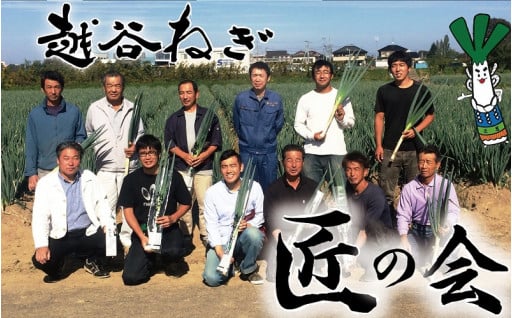 10 19 越谷ねぎ 白ねぎ 青ねぎセット 埼玉県越谷市 ふるさと納税 ふるさとチョイス