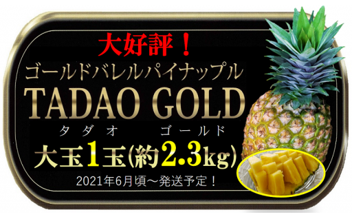 沖縄県東村のふるさと納税 最新情報一覧【ふるさとチョイス】 10ページ目