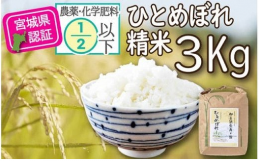 宮城県登米市のふるさと納税 最新情報一覧【ふるさとチョイス】 4ページ目