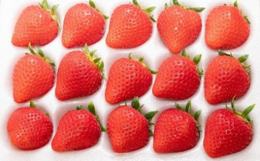 【数量限定】厳選いちご