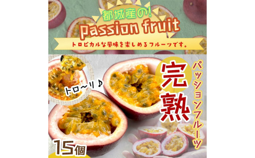 宮崎県都城市からの最新情報 ふるさと納税 ふるさとチョイス 宮崎県都城市からの最新情報 ふるさと納税 ふるさとチョイス