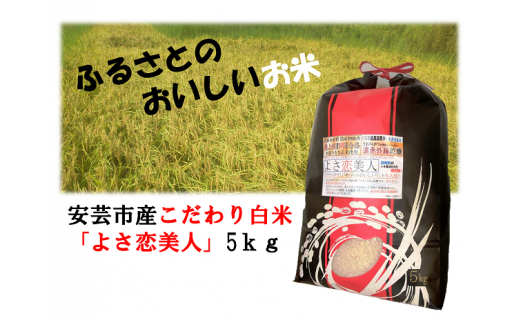 33 3 田渕水産のカマスのひらき 高知県安芸市 ふるさと納税 ふるさとチョイス