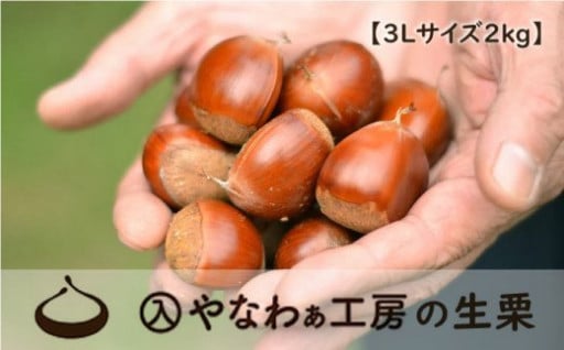 茨城県笠間市のふるさと納税 最新情報一覧【ふるさとチョイス】 12ページ目