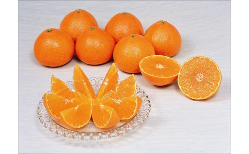 10月１日より大人気の柑橘３種の受付開始！