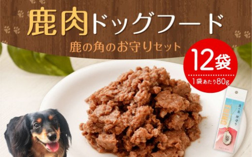 鹿肉 ドッグフード 鹿の角のお守り セット 無添加 レトルト 宮崎県えびの市 ふるさと納税 ふるさとチョイス
