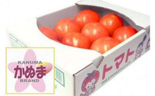 かぬまブランドの美味しい大玉トマト（麗容） 