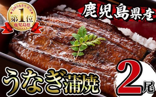 鹿児島県産鰻蒲焼2尾セット(約166g×2)