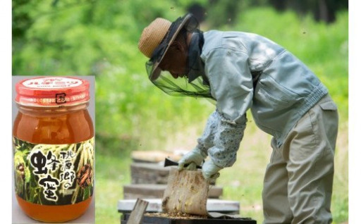 【無添加・純度100％】井之上養蜂場のはちみつ🍯
