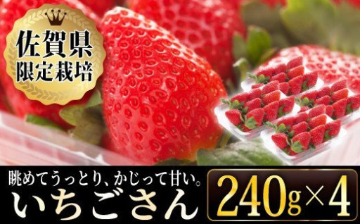 もうすぐ苺の季節♡【いちごさん】960g