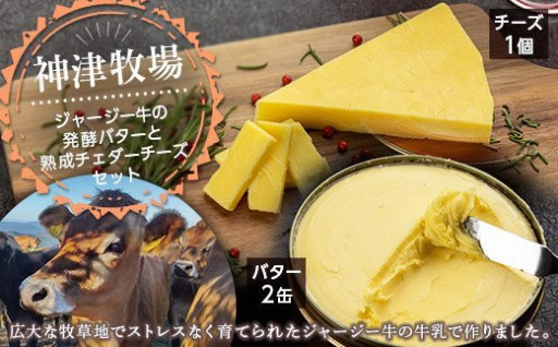 長年愛されている神津牧場発酵バターと熟成チーズ
