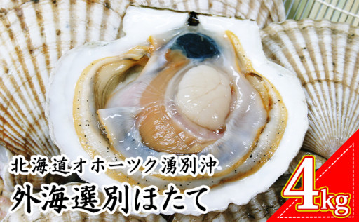 北海道オホーツク海産　新鮮な「ほたて貝」