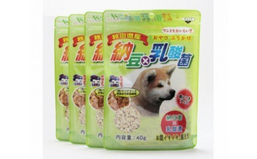 納豆✖乳酸菌で愛犬のお腹イキイキ、腸元気！！