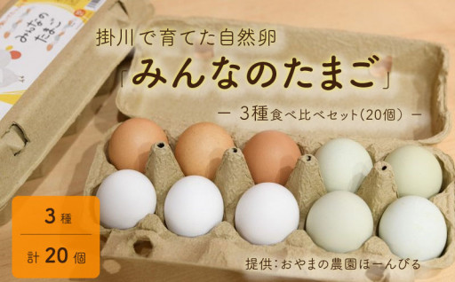 掛川で育てた自然卵「みんなのたまご」3種食べ比べ