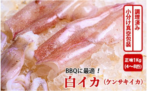 【BBQに最適！】調理済みケンサキイカ※小分包装