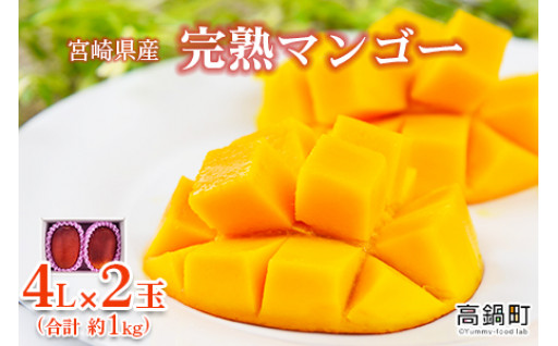 宮崎県産完熟マンゴー4L×2玉(合計 約1kg)