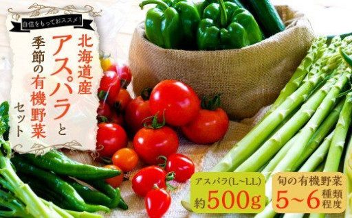 【先行予約】 北海道産 アスパラと季節の有機野菜 セット