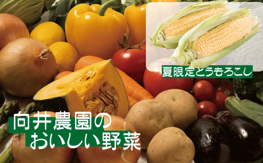 北海道赤平市の”おいしい野菜”届けます♪