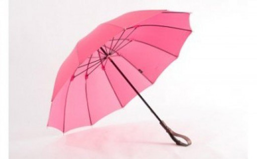 ヌレンザ 雨傘（つつじ）