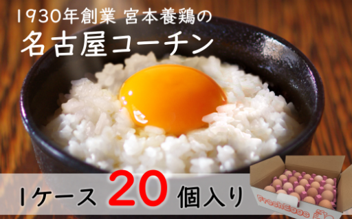 新鮮でおいしい「名古屋コーチン」の卵 20個入り