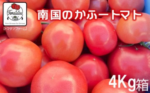 南国のかふートマト　4Kg箱【トマタツファーム】