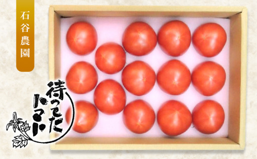 掛川産フルーツトマト「待ってたトマト」