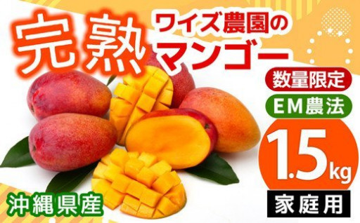 ★数量限定価格★沖縄の完熟マンゴー！