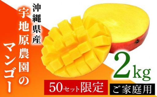 ★50セット限定価格★沖縄の太陽で育ったマンゴー