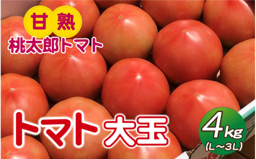 減農薬、有機肥料で栽培！トマト大玉4kg（Ｌ～3Ｌ（12～20個））