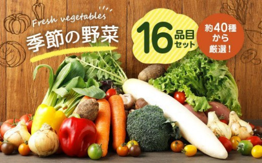 季節の野菜 16品目 セット 野菜 詰め合わせ