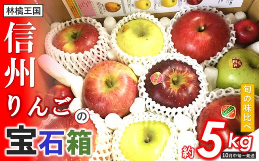 りんごの宝石箱 信州りんご詰合せ 約5kg 