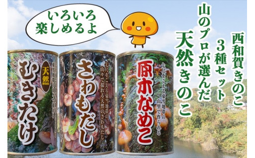 〈きのこ採り名人〉が採る「西和賀のきのこ缶詰め」