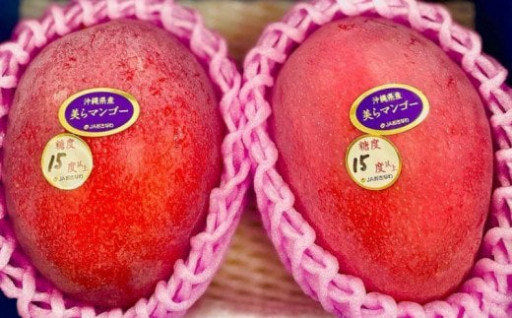  【2023年発送】沖縄最上級ブランド 美らマンゴー約１kg【数量限定】