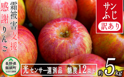 りんご 訳あり サンふじ 5kg 長野県 霜被害支援への御礼企画 「感謝りんご」 光センサー選果