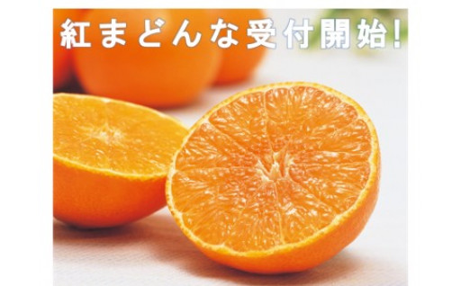 愛媛のブランド柑橘「紅まどんな」受付開始！その他返礼品も大量追加！