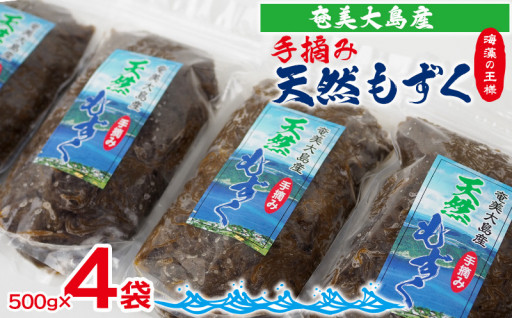海藻の王様　奄美大島産の手摘み天然もずく500g×4袋